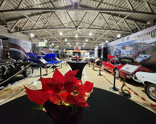 Photograph auto show.