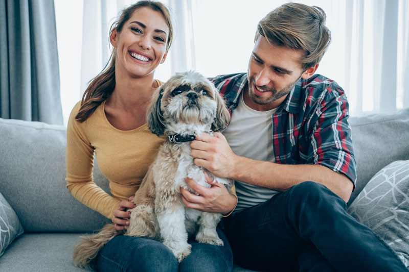 A couple sitting on their couching holding a dog