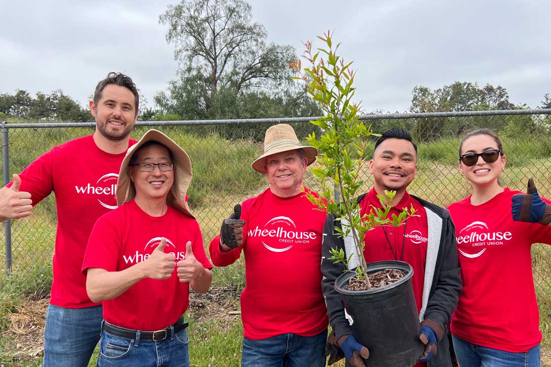 Wheelhouse team members tree planting