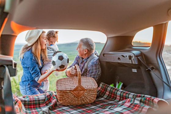 family picnic with car