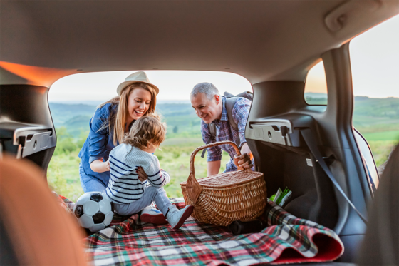 family picnic in trunk of car
