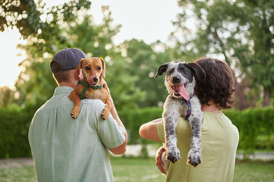 Support, care or happy family, men and kids bonding with foster puppy or pet and enjoying time together.