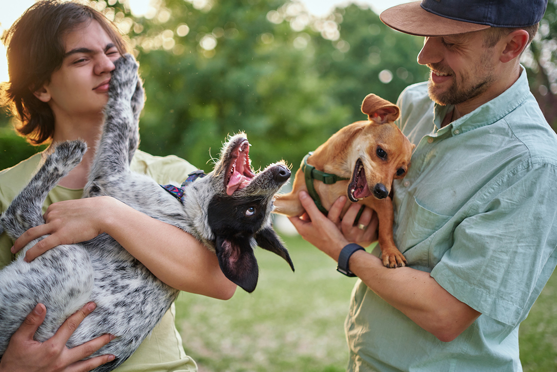 Support, care or happy family, men and kids bonding with foster puppy or pet and enjoying time together.
