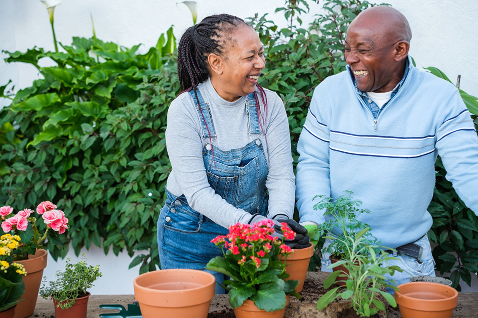 Happy African senior people gardening together at home.