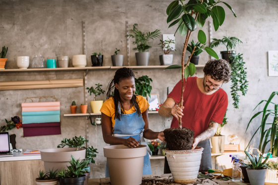 potting plants